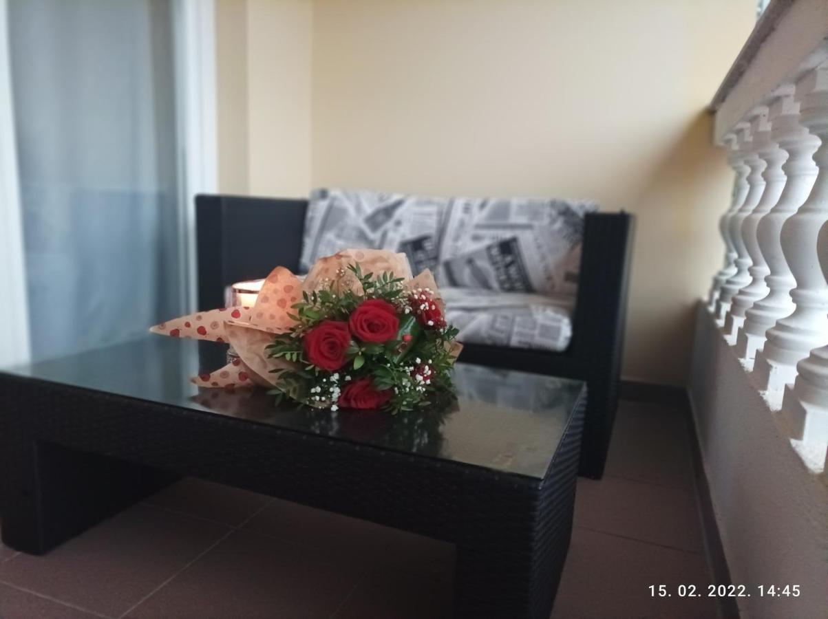 Palma Guesthouse Palit 外观 照片